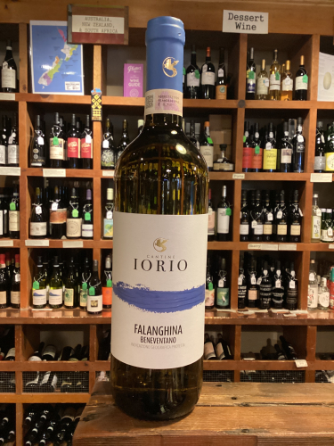 Cantine Iorio Beneventano Falanghina 2024