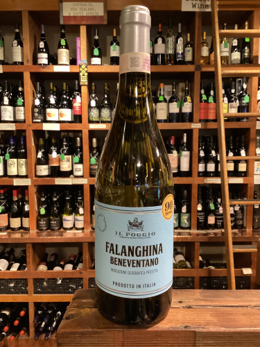 Il Poggio Falanghina 2024